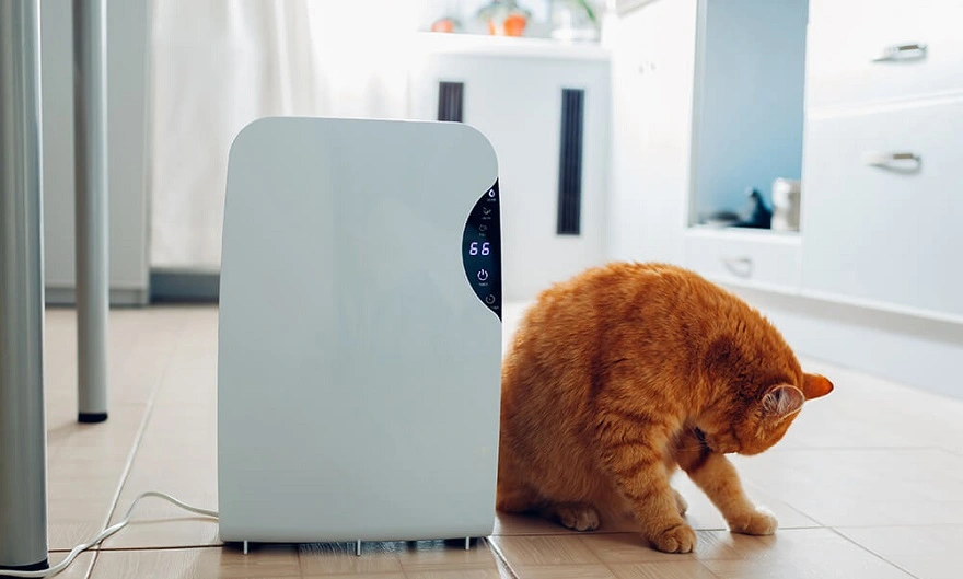 About Lumineux Informatik